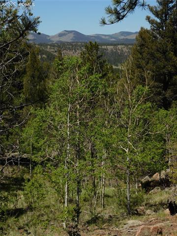359 Pike View Road Florissant, CO 80816 - Photo 6 of 22