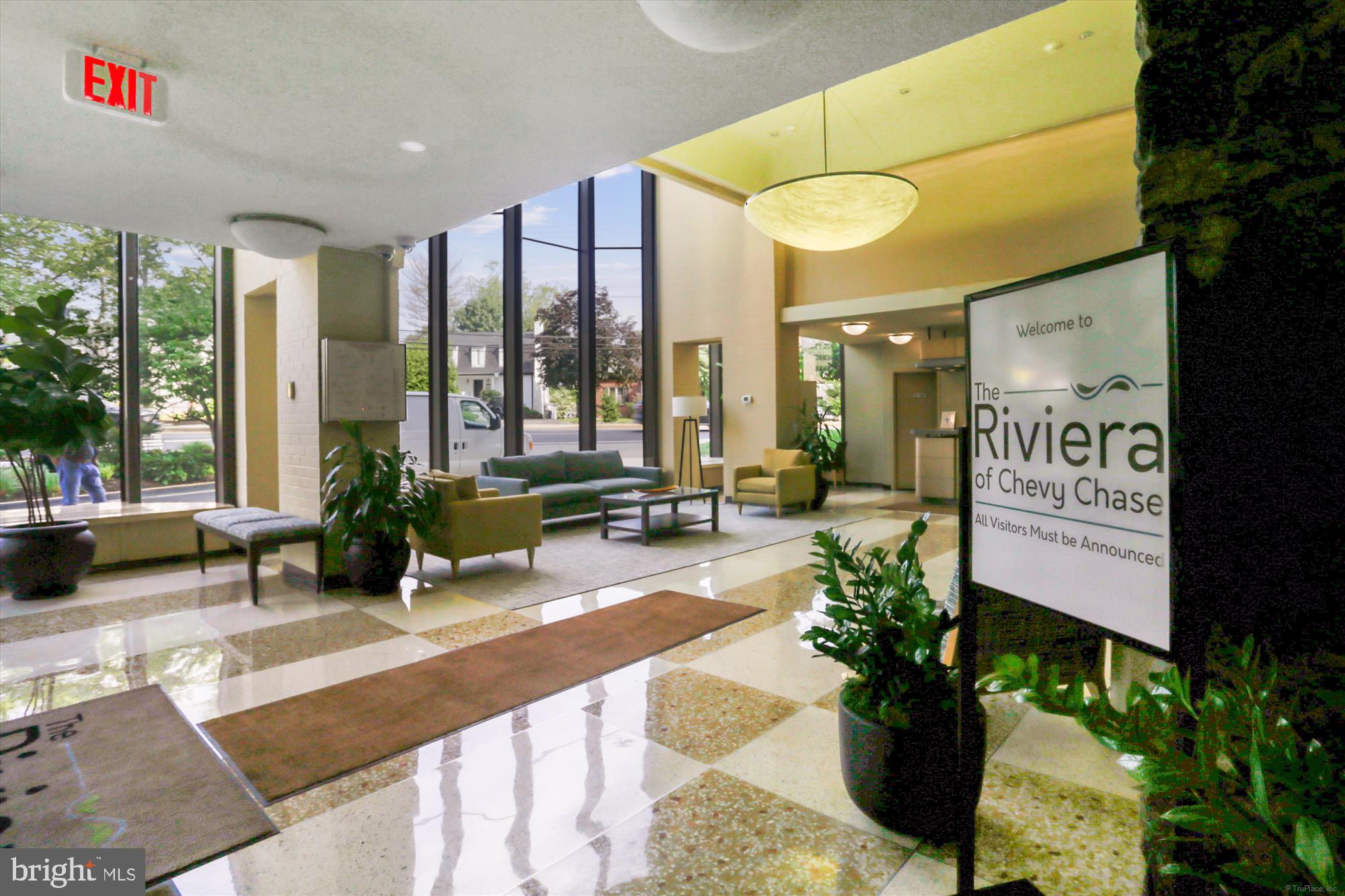 a building with potted plants and a large tree
