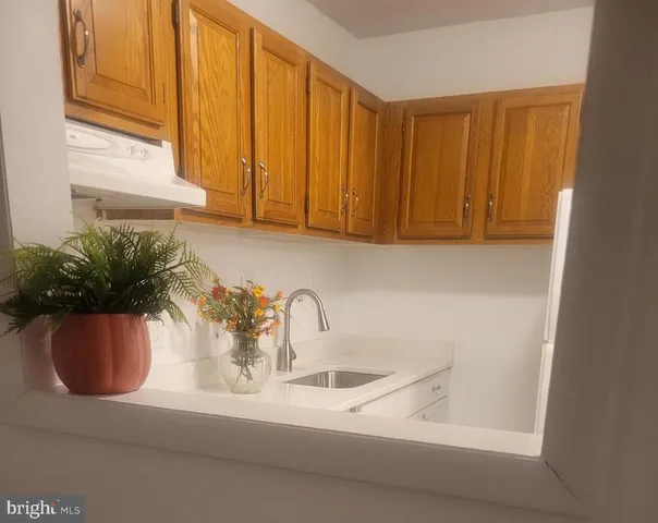 a close view of sink and a potted plant in a kitchen
