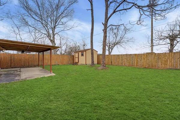 a view of a backyard with large tree
