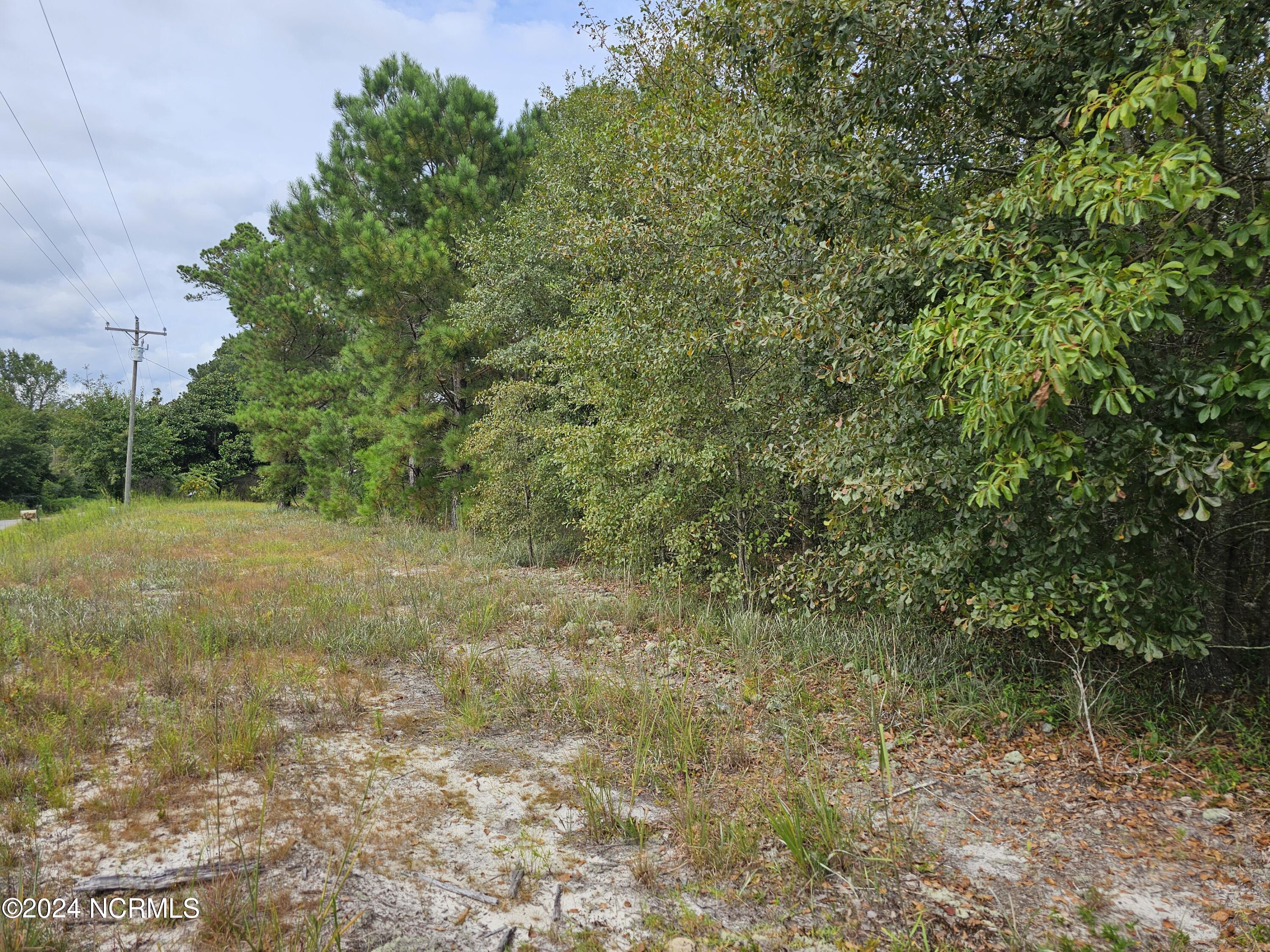 0 Halfway Branch School Road Atkinson, NC 28421 - Photo 10 of 16 20240906_145942
