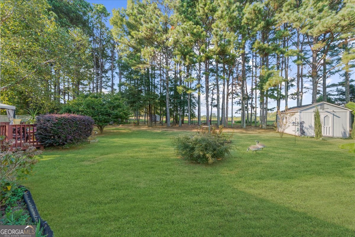 113 Stanfield Court Hampton, GA 30228 - Photo 53 of 67