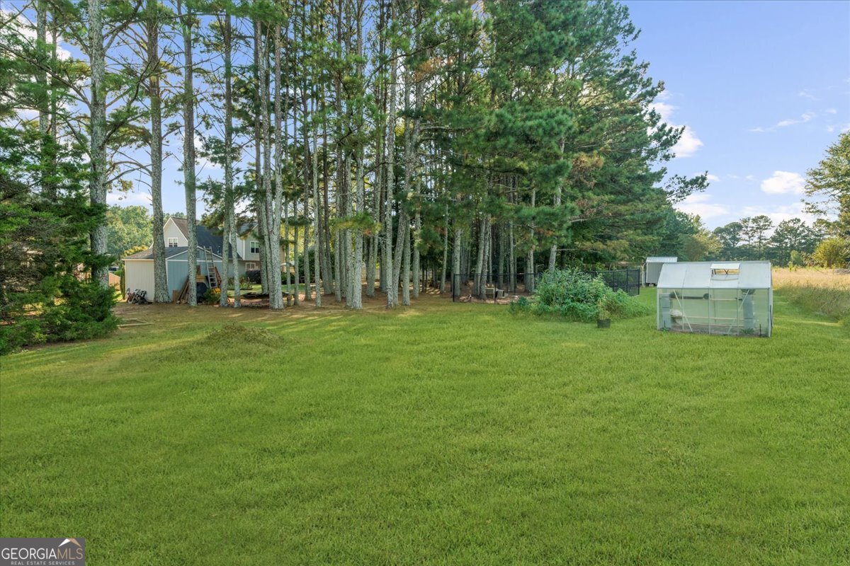 113 Stanfield Court Hampton, GA 30228 - Photo 56 of 67