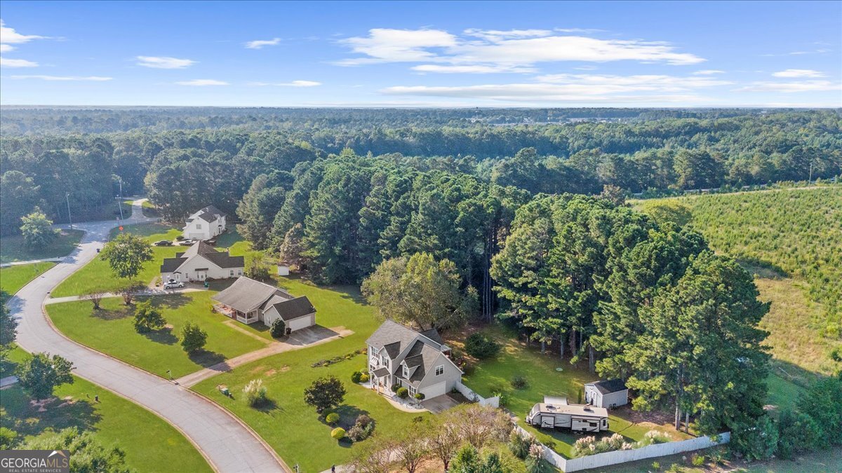 113 Stanfield Court Hampton, GA 30228 - Photo 65 of 67