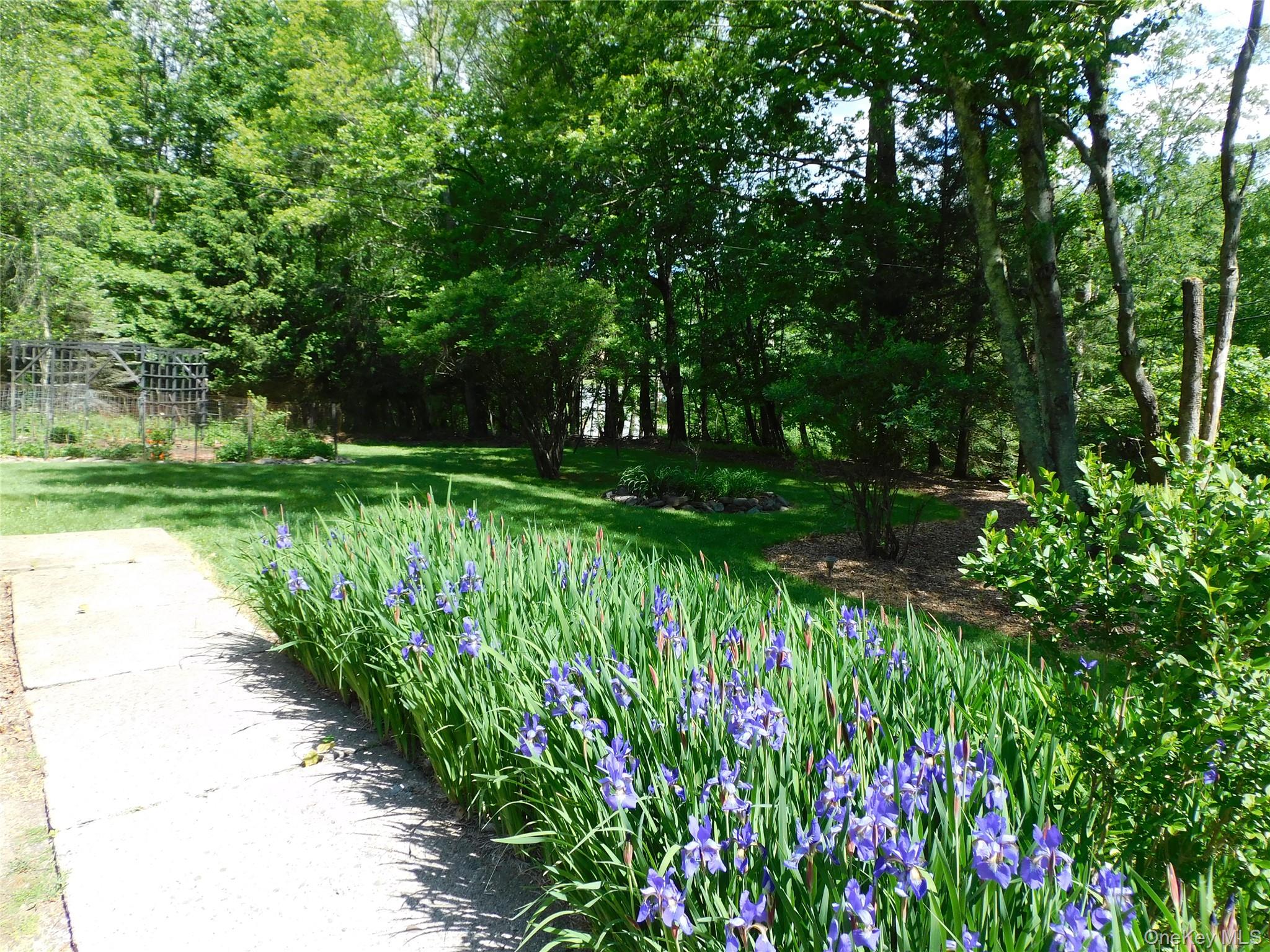 18-20 Church Road Mountain Dale, NY 12763 - Photo 6 of 20 a yard with lots of green space and trees
