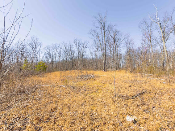 148 Edward Road McKee, KY 40447 - Photo 6 of 31 D9F58A82-59CF-4BB3-8E66-8AA16397028E