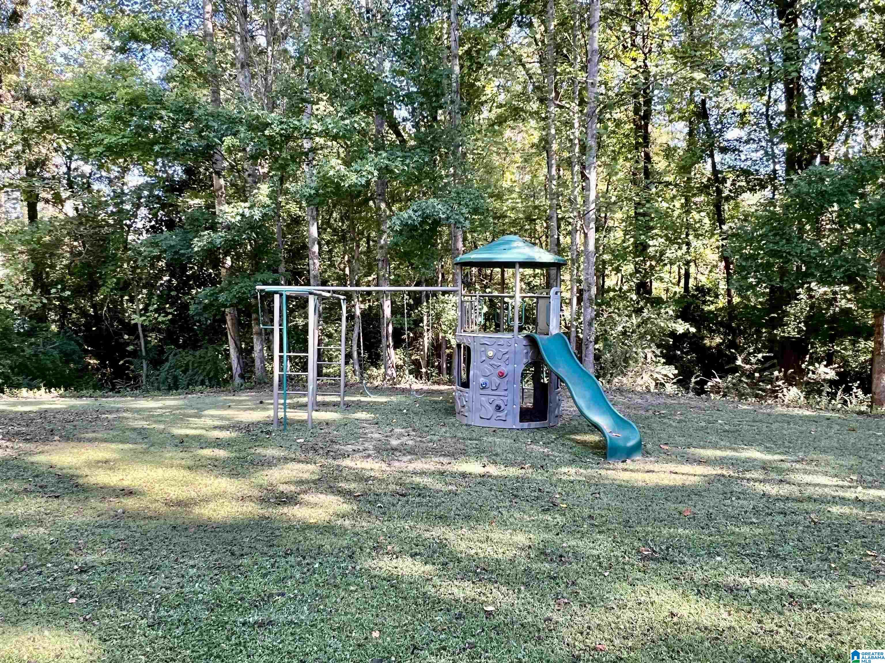 6042 Springview Drive Mount Olive, AL 35117 - Photo 49 of 55
