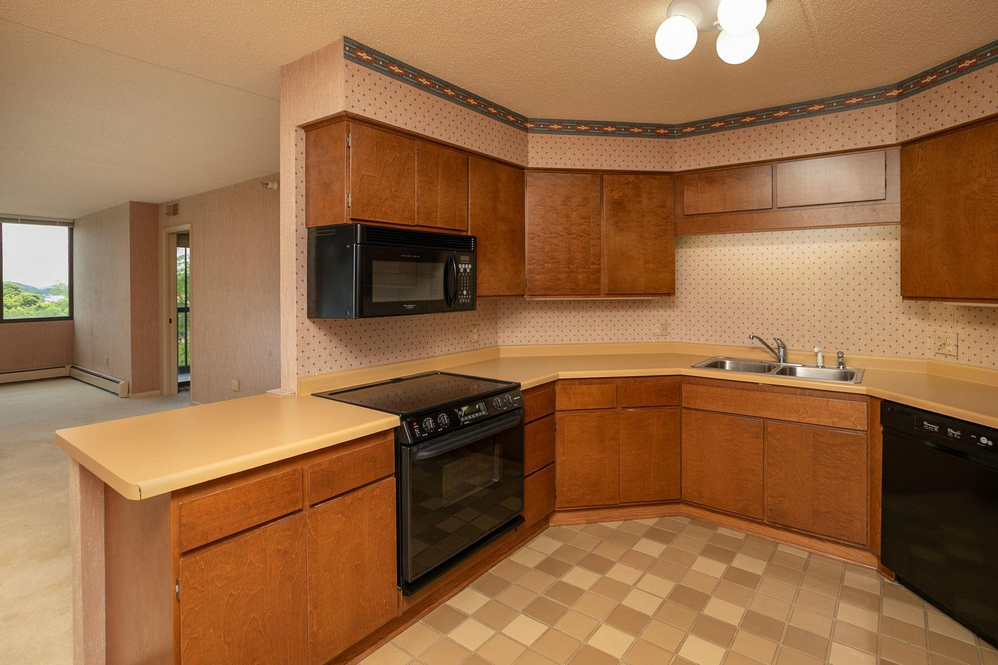 600 4th Street Southwest, Unit 605 Rochester, MN 55902 - Photo 11 of 38