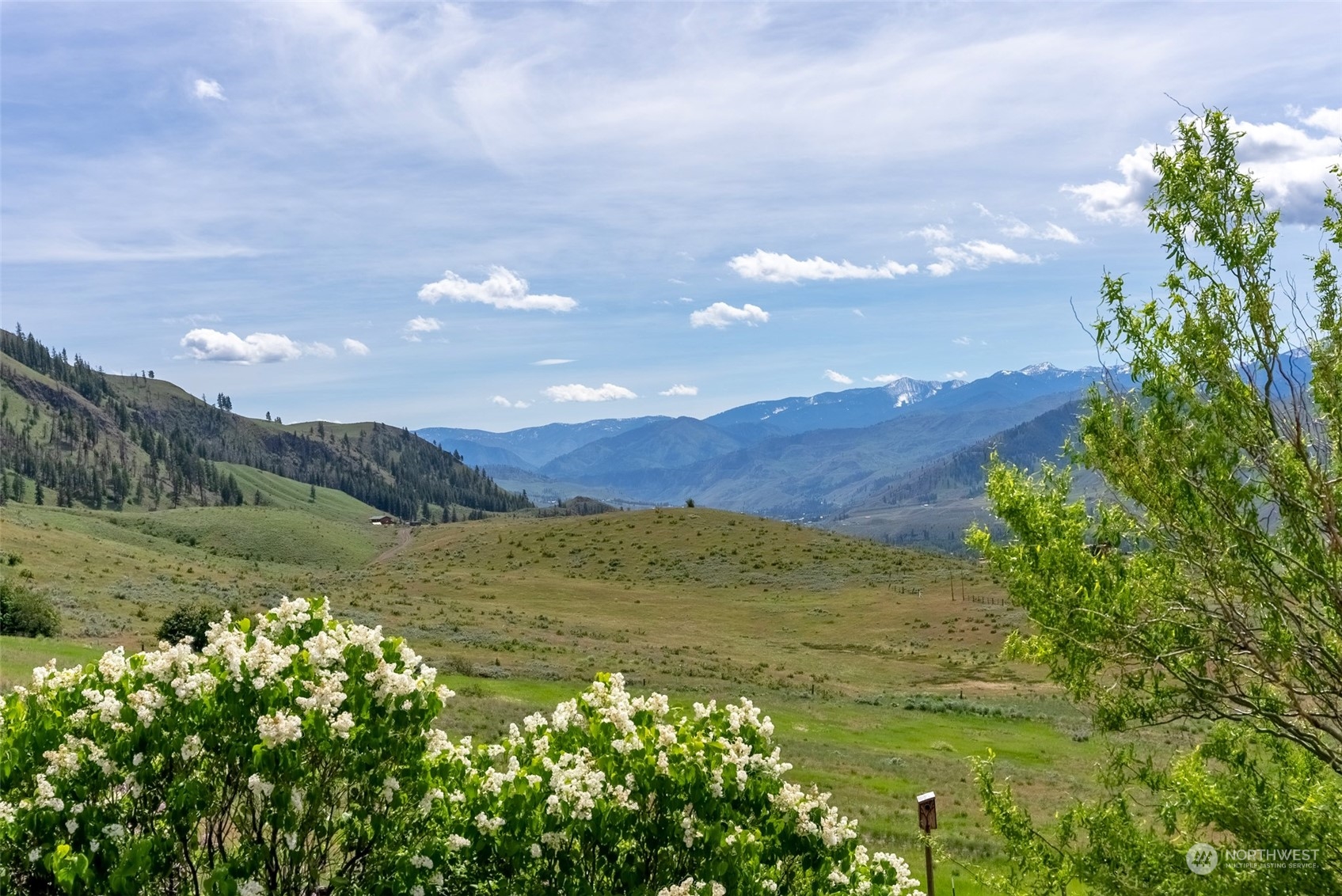 120 Finley Canyon Road Twisp, WA 98856 - Photo 4 of 40 Gallery Image 4