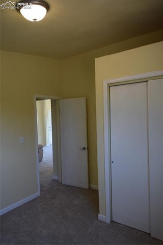 80 Spur Road Divide, CO 80814 - Photo 29 of 48 Unfurnished bedroom with carpet floors and a closet