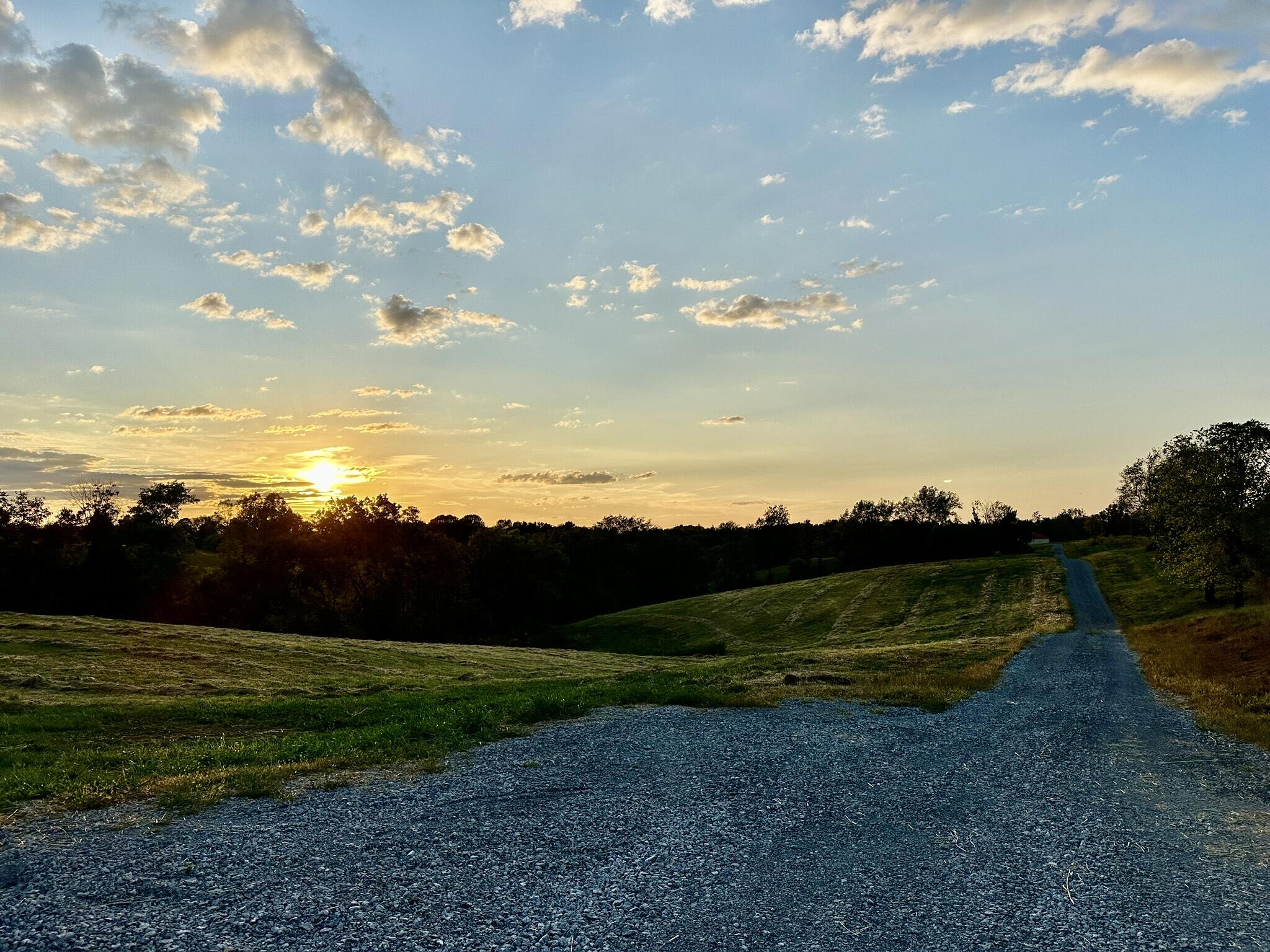 719 Upper Lick Road Moorefield, KY 40350 - Photo 2 of 29 Farm Driveway