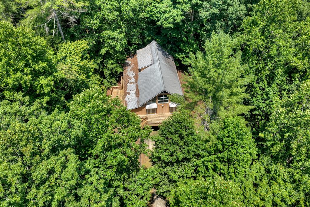 600 Conasauga Road Ellijay, GA 30540 - Photo 52 of 68 Gallery Image 52