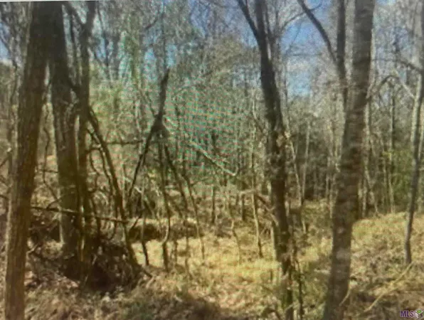 $150,000 | 0 Turkey Creek Road, Natchez, MS 39120