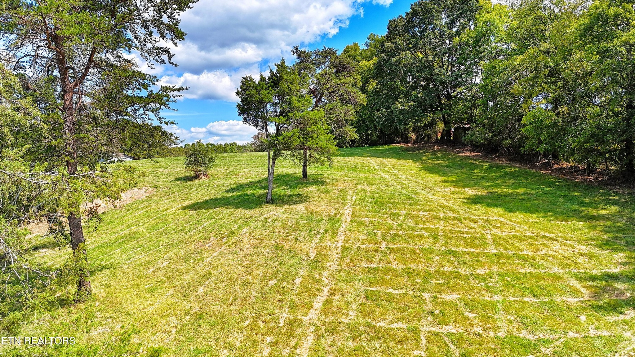 0 Alpine Road Newport, TN 37821 - Photo 15 of 25 Gallery Image 15