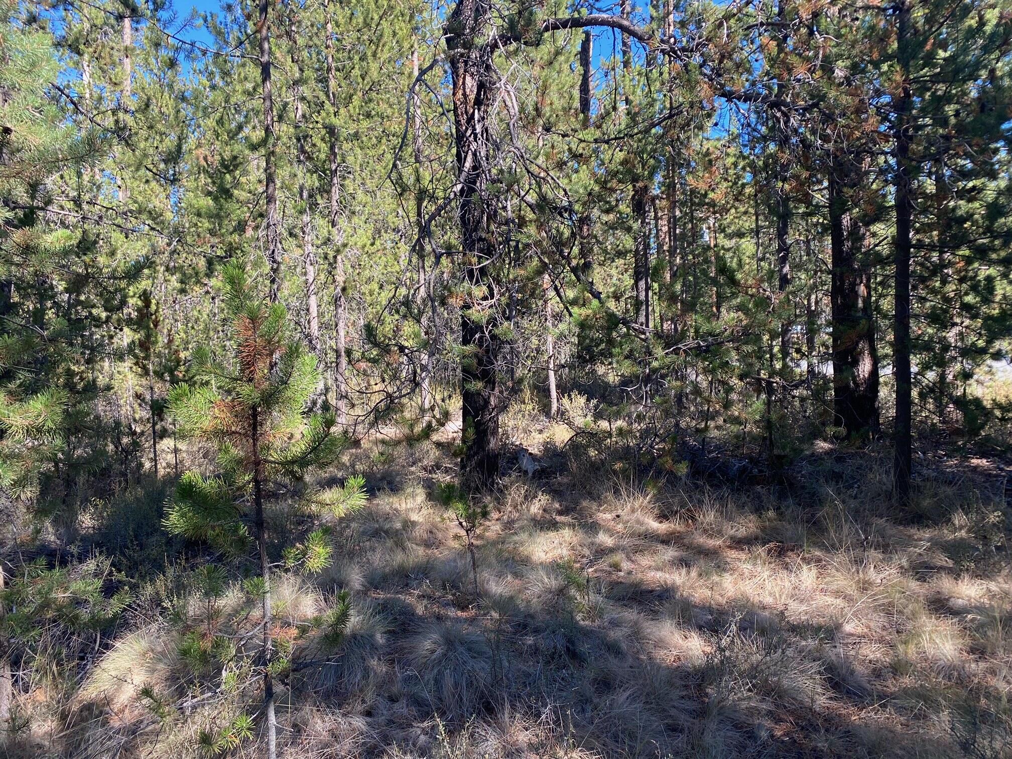 17266 Tholstrup Road Bend, OR 97707 - Photo 3 of 11 image5