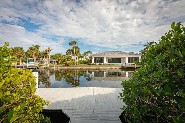 a view of a pathway with plants