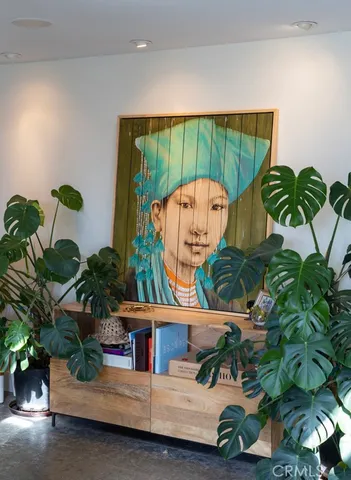 a living room with a potted plant