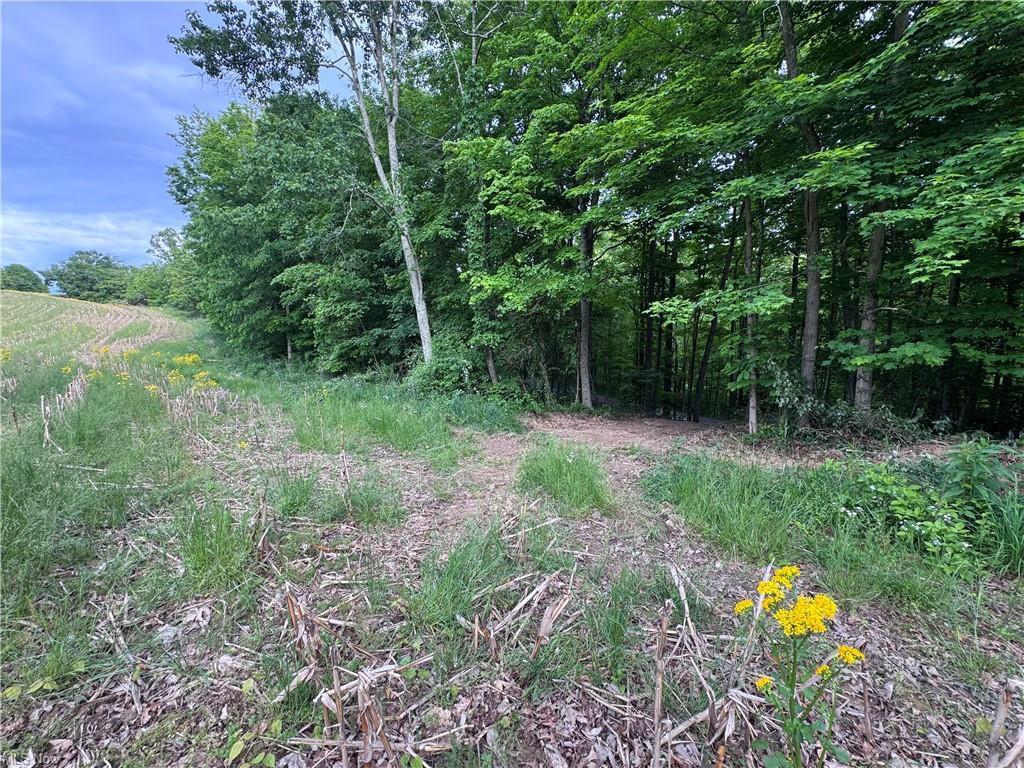 10 Walker Hl Road Stockport, OH 43787 - Photo 11 of 13 12