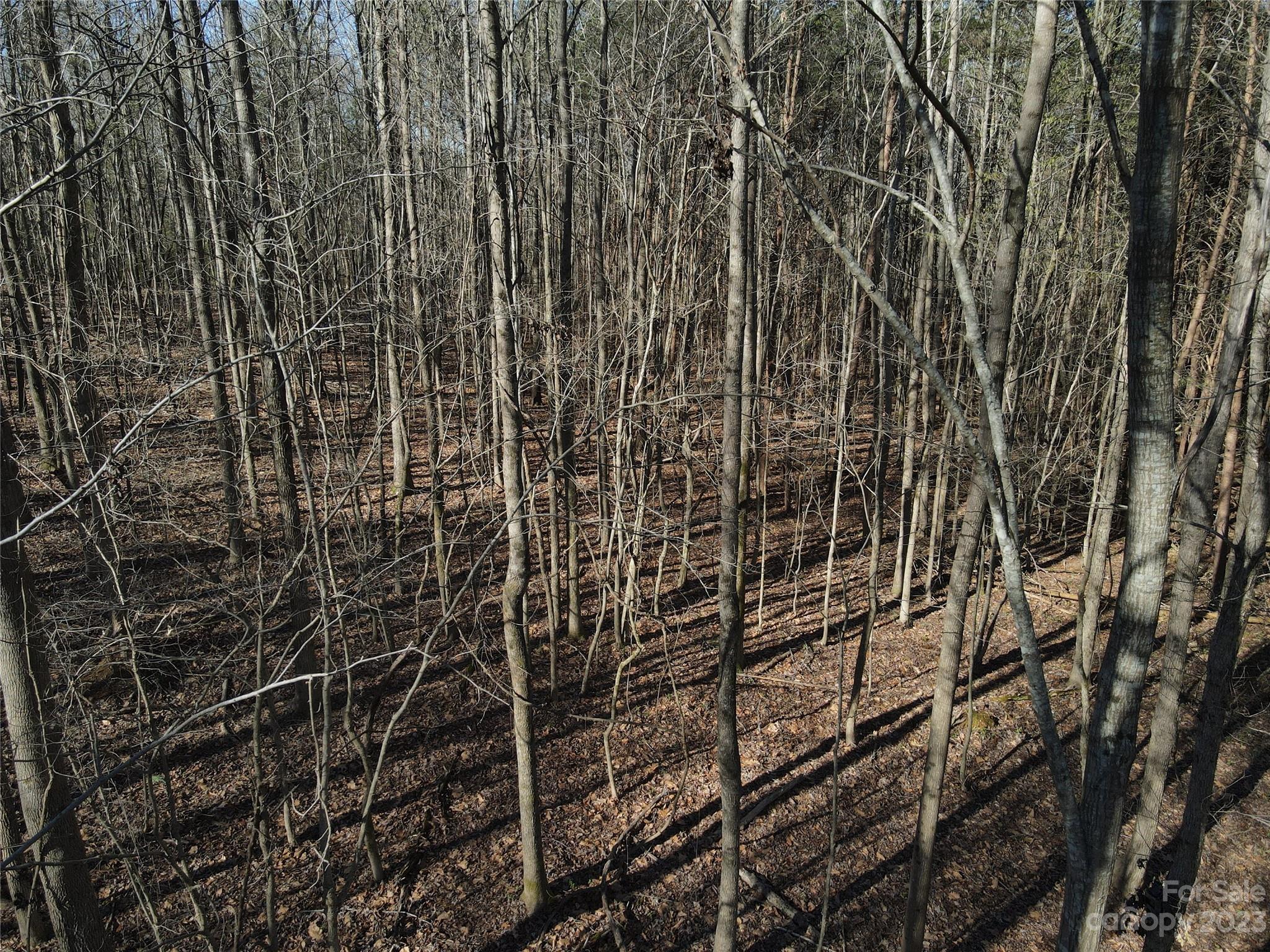 16433 A Silver Road Oakboro, NC 28129 - Photo 10 of 13 Gallery Image 10