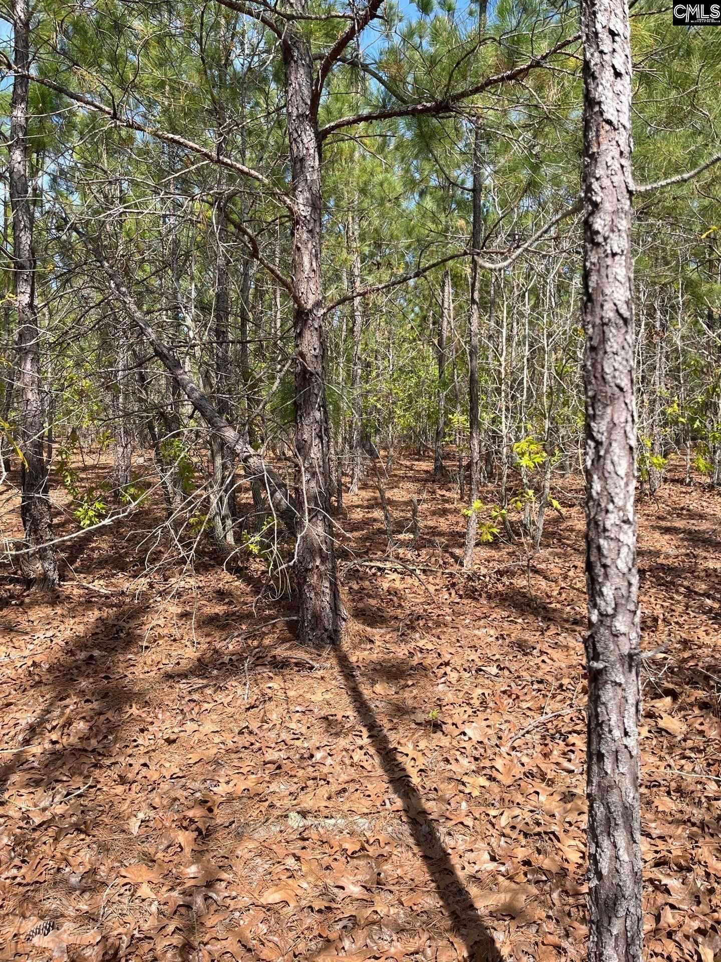 9 Beaver Dam Road Cassatt, SC 29032 - Photo 24 of 25