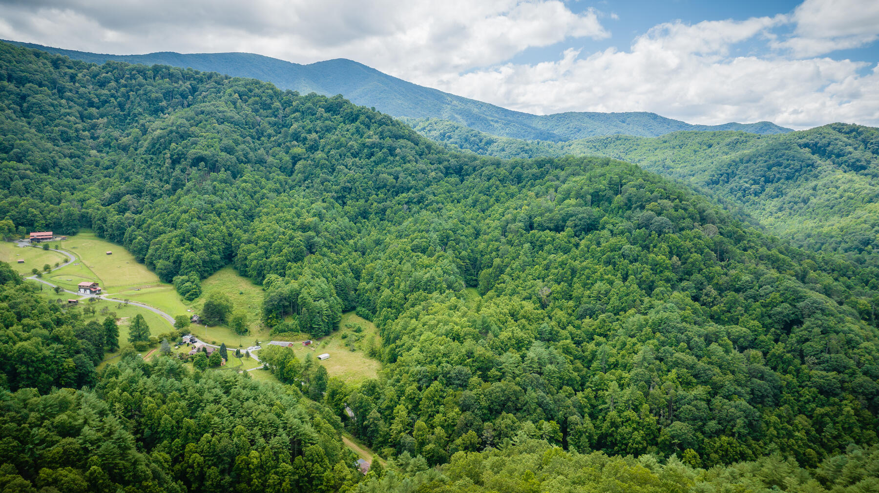 Tbd Chandler Cove Road Erwin, TN 37650 - Photo 1 of 26 Main Picture