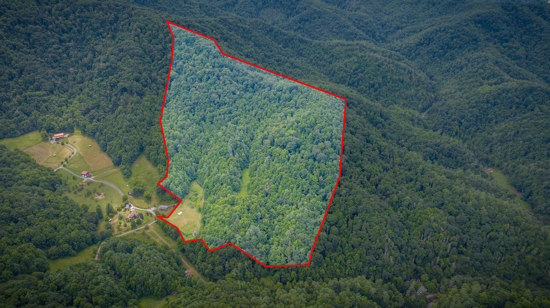 Tbd Chandler Cove Road Erwin, TN 37650 - Photo 11 of 26 119