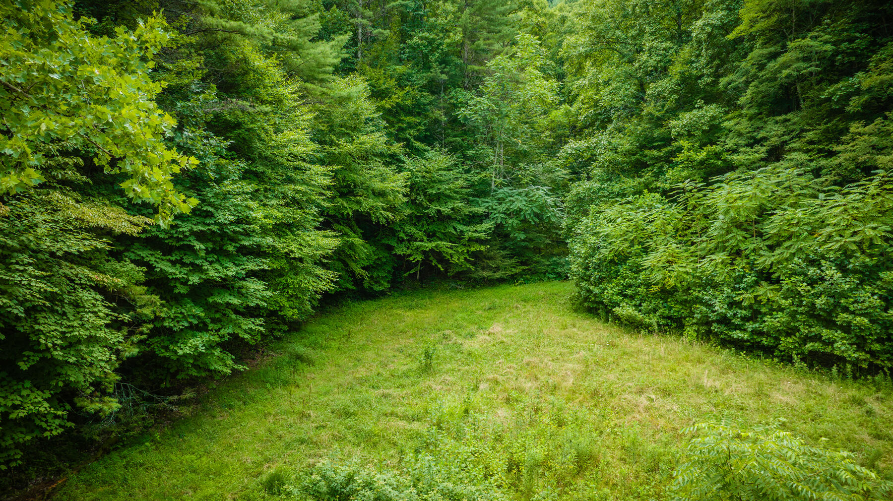Tbd Chandler Cove Road Erwin, TN 37650 - Photo 16 of 26 111