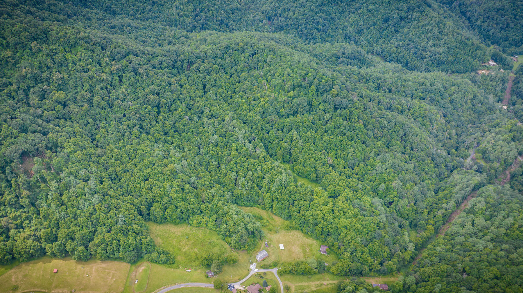 Tbd Chandler Cove Road Erwin, TN 37650 - Photo 4 of 26 101