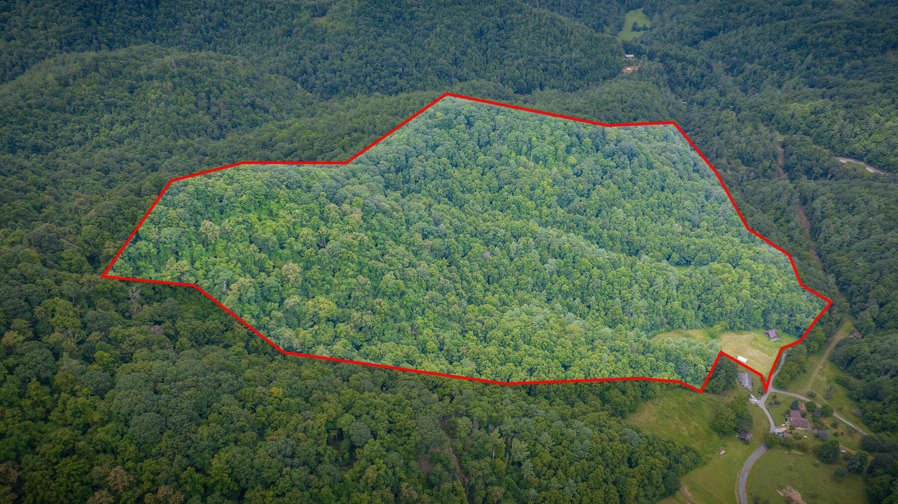 Tbd Chandler Cove Road Erwin, TN 37650 - Photo 6 of 26 118