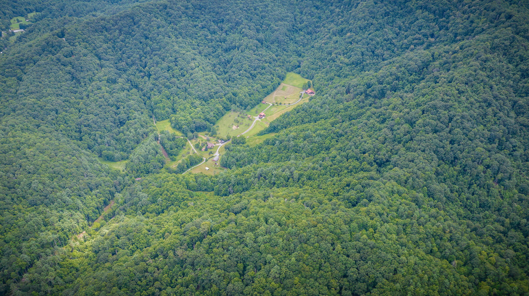 Tbd Chandler Cove Road Erwin, TN 37650 - Photo 8 of 26 104