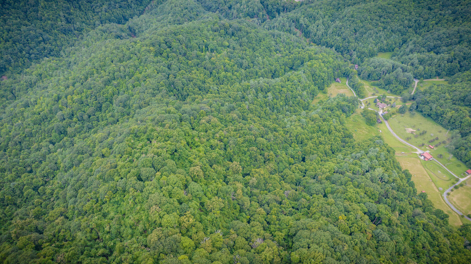 Tbd Chandler Cove Road Erwin, TN 37650 - Photo 9 of 26 105