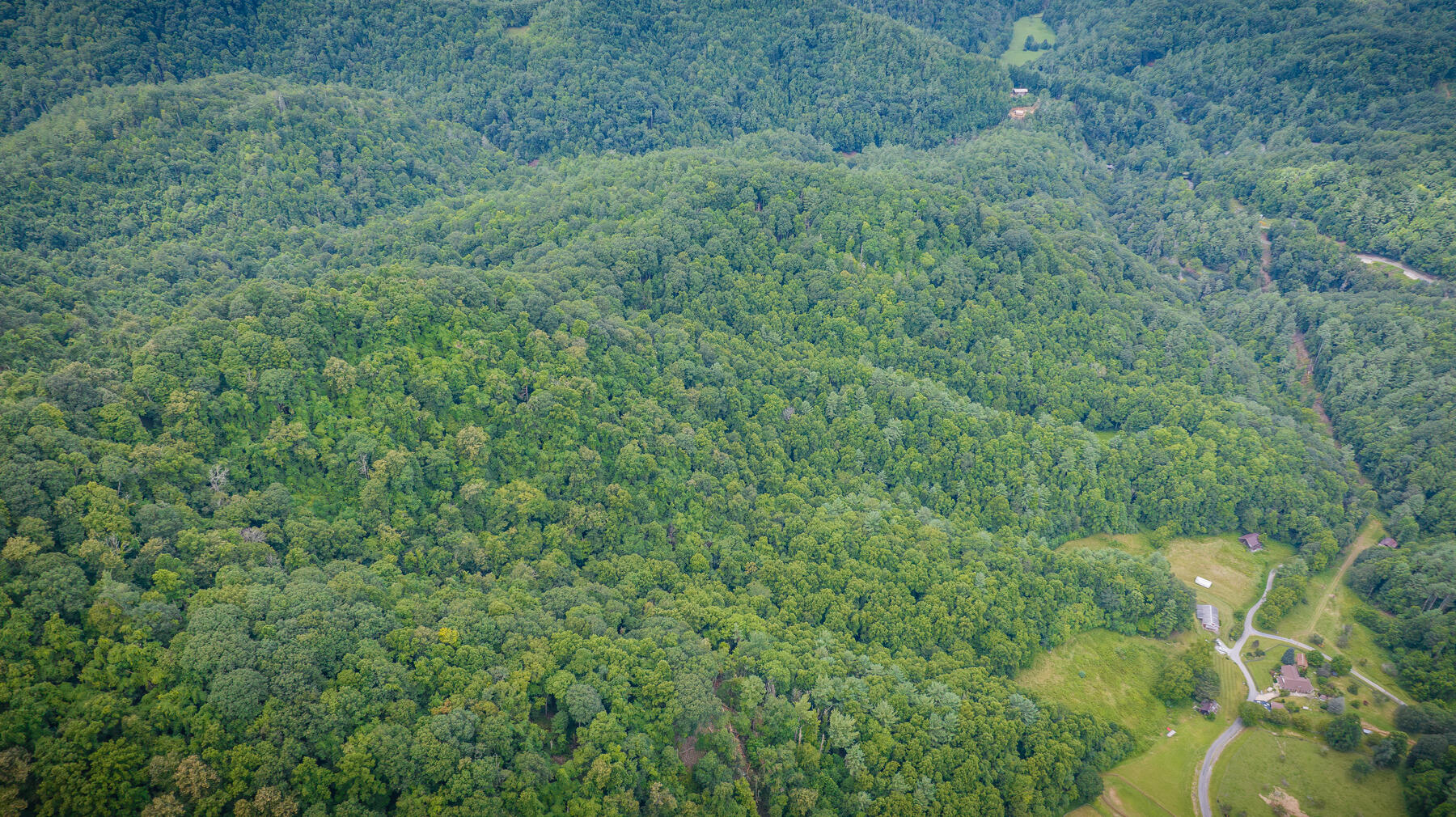 Tbd Chandler Cove Road Erwin, TN 37650 - Photo 10 of 26 106
