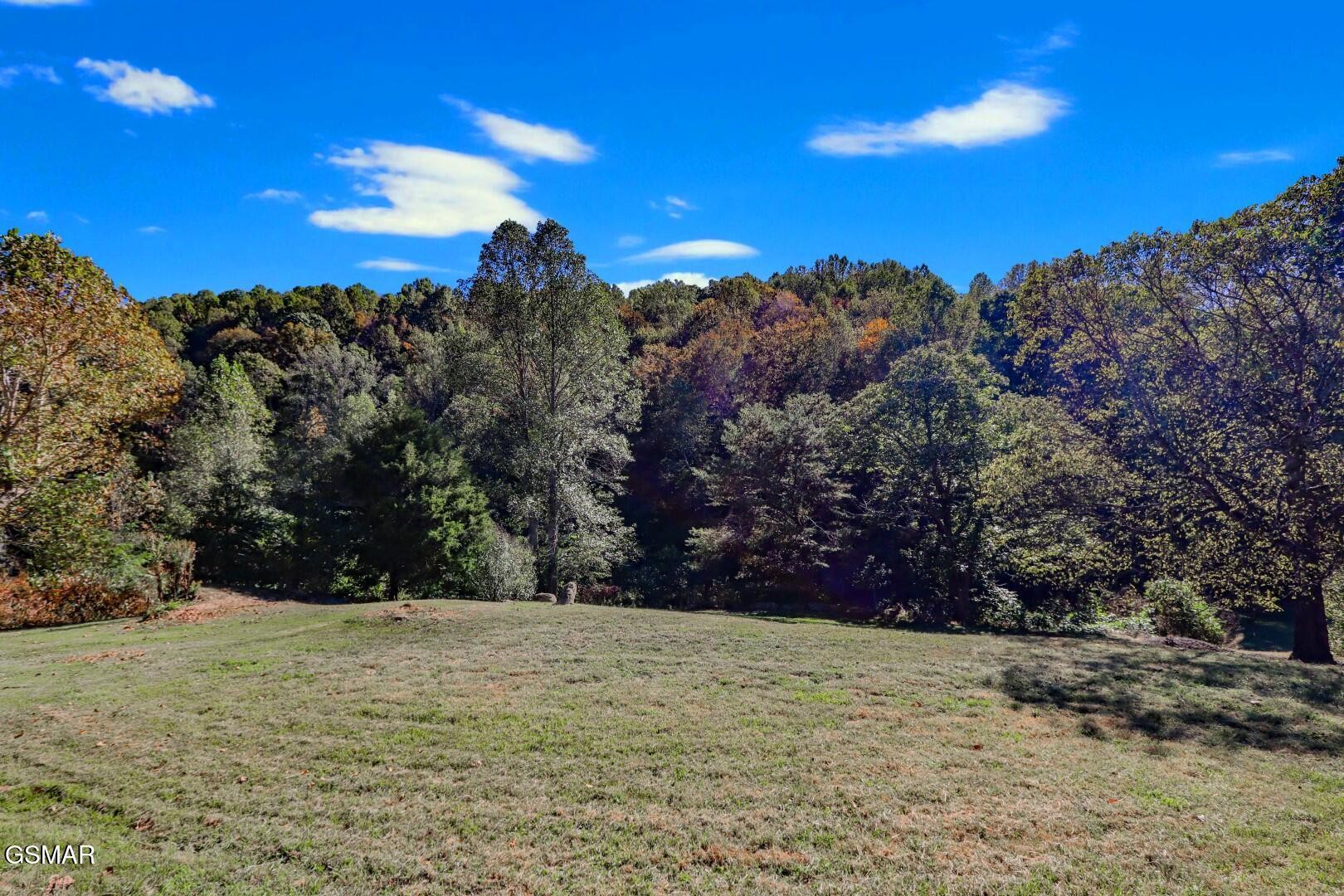 2409 Perilla Road Cosby, TN 37722 - Photo 22 of 50 Gallery Image 22