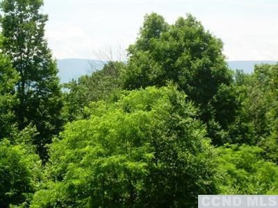 0 Reesa Road Ancram, NY 12502 - Photo 2 of 6 an aerial view of residential house with outdoor space and trees all around