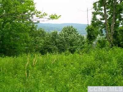 0 Reesa Road Ancram, NY 12502 - Photo 3 of 6 a backyard of a house with lots of green space