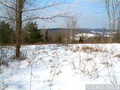 0 Reesa Road Ancram, NY 12502 - Photo 5 of 6 a view of yard covered with snow