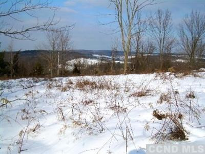 0 Reesa Road Ancram, NY 12502 - Photo 6 of 6 a view of a yard covered in snow