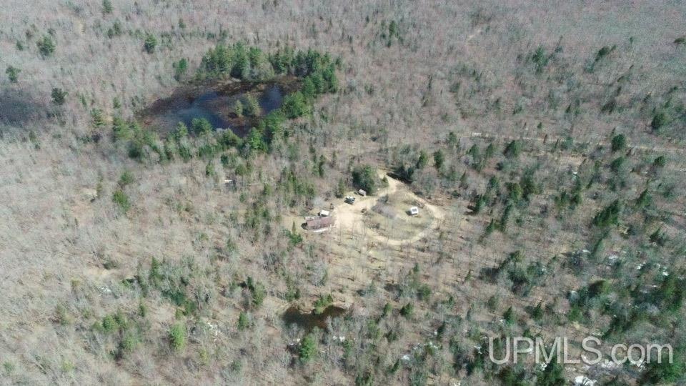 11445 Chesbrough Lake Road Newberry, MI 49868 - Photo 66 of 75