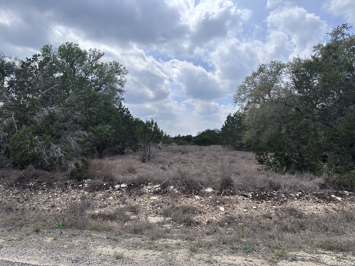 318 Serenity Pass Spring Branch, TX 78070 - Photo 2 of 13