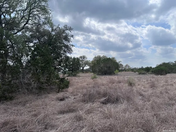 $119,000 | 318 Serenity Pass, Spring Branch, TX 78070