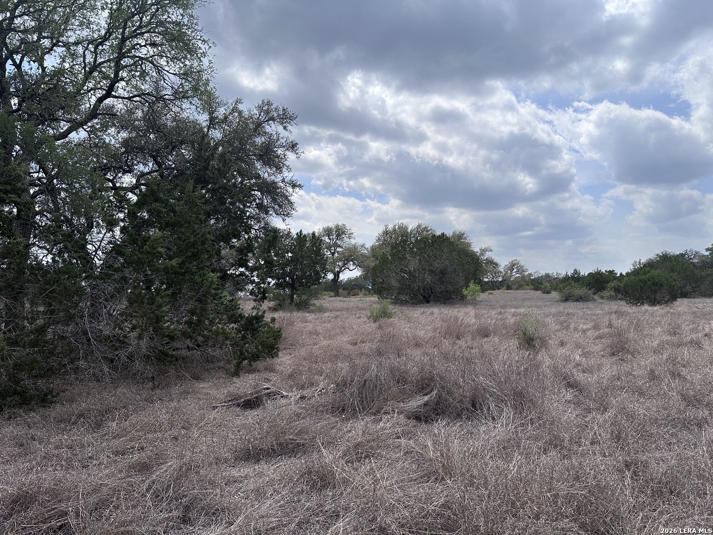 318 Serenity Pass Spring Branch, TX 78070 - Photo 3 of 13