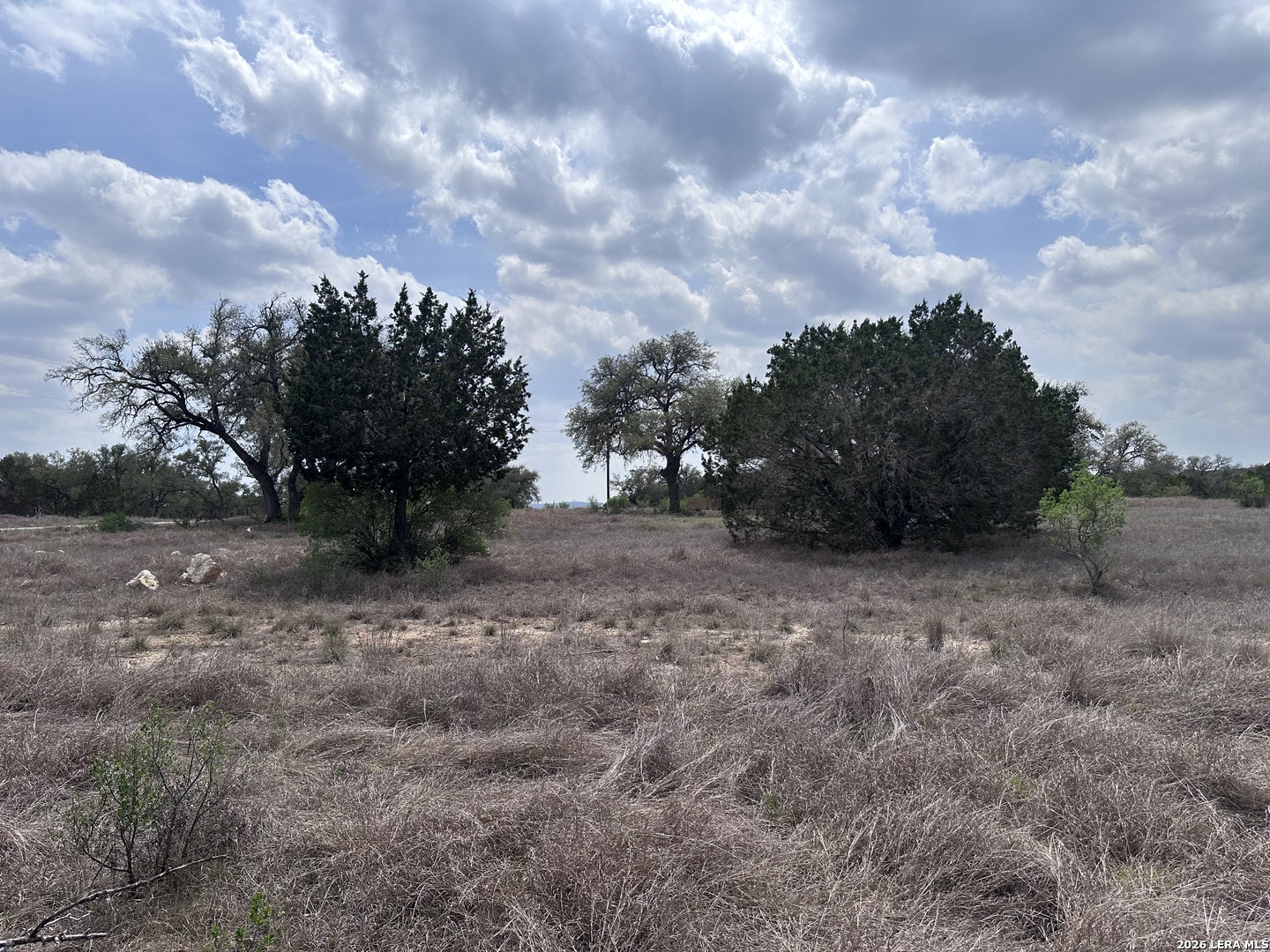 318 Serenity Pass Spring Branch, TX 78070 - Photo 4 of 13