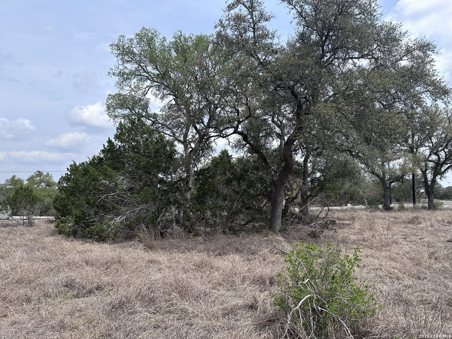 318 Serenity Pass Spring Branch, TX 78070 - Photo 5 of 13