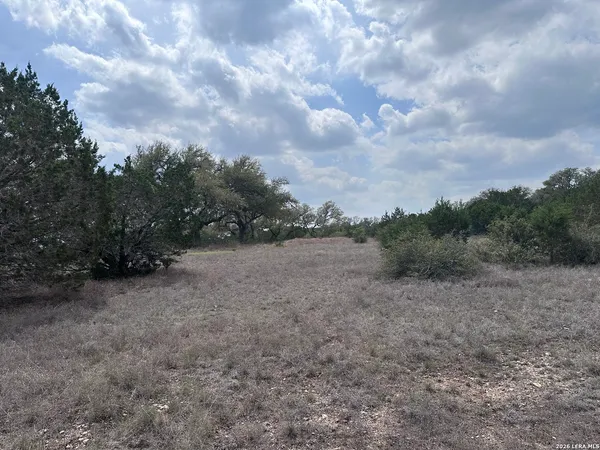 $119,000 | 318 Serenity Pass, Spring Branch, TX 78070