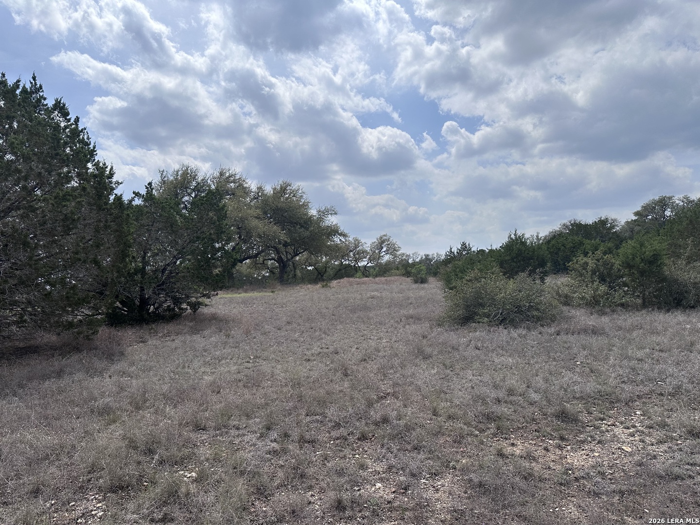 318 Serenity Pass Spring Branch, TX 78070 - Photo 6 of 13
