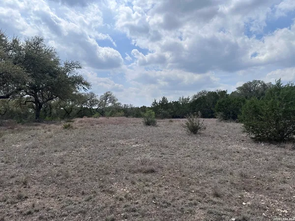 $119,000 | 318 Serenity Pass, Spring Branch, TX 78070