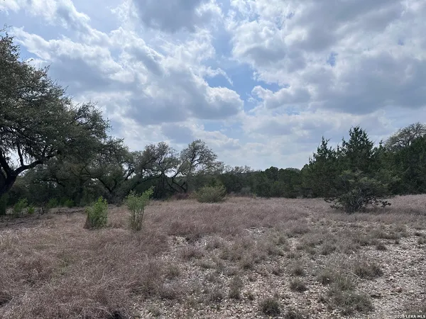 $119,000 | 318 Serenity Pass, Spring Branch, TX 78070