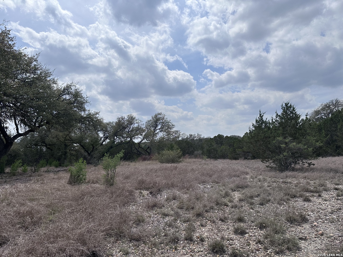 318 Serenity Pass Spring Branch, TX 78070 - Photo 10 of 13