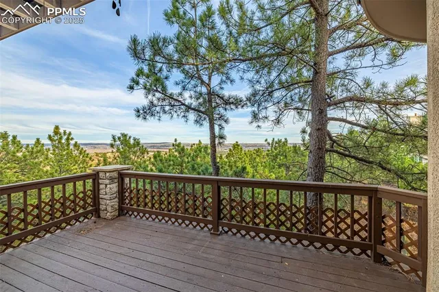 a view of a backyard with large trees