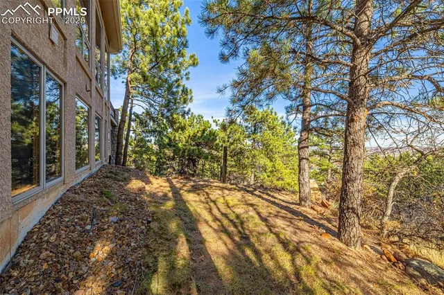 a large body of water with a tree in the background